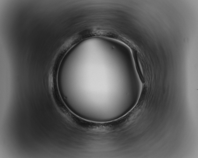 X0000099940734200805301216