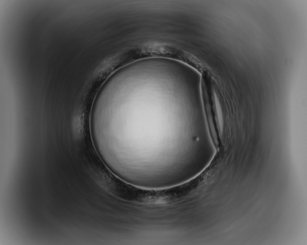 X0000099940735200805301217