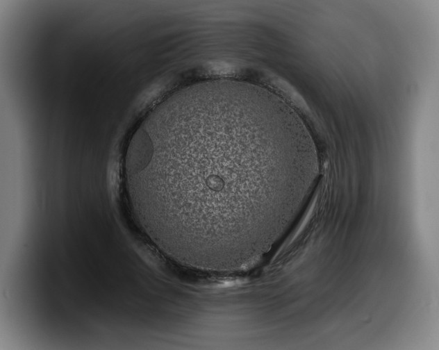 X0000099940736200805301217