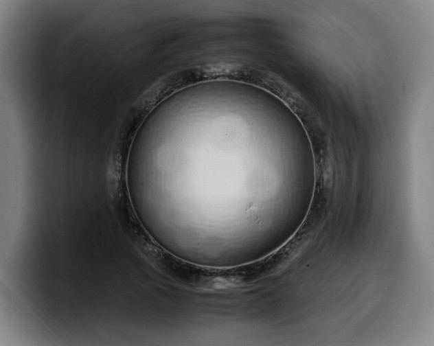 X0000099940737200805301217