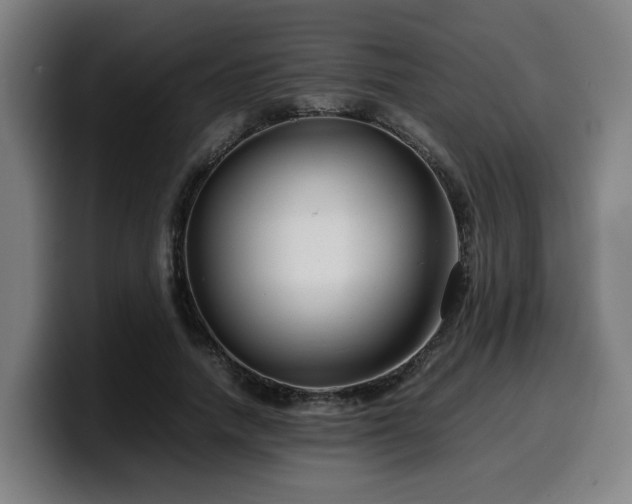 X0000099940738200805301217