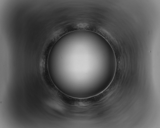 X0000099940739200805301217