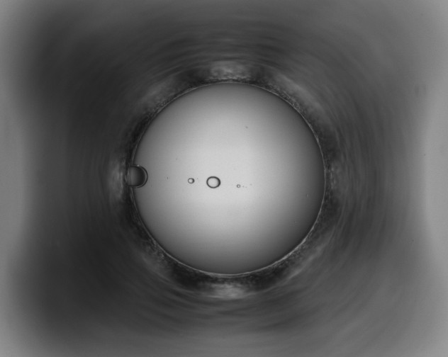 X0000099940741200805301217