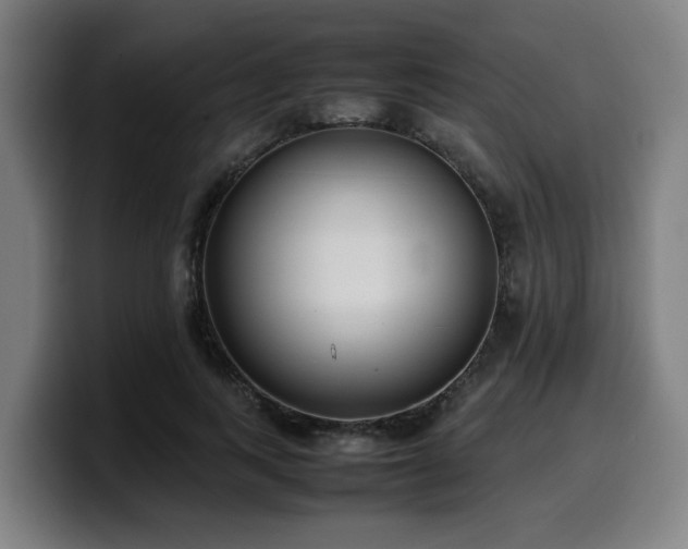 X0000099940743200805301217