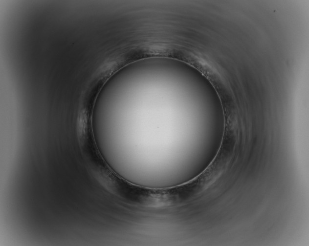 X0000099940744200805301217