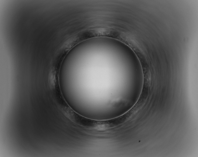 X0000099940746200805301217