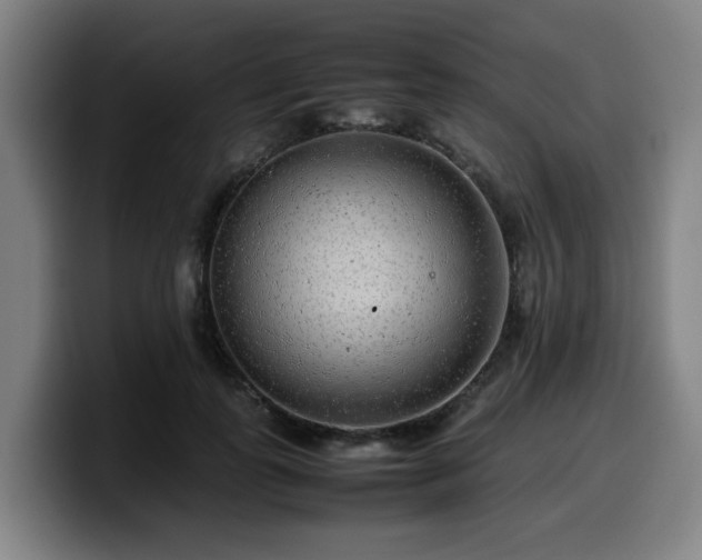 X0000099940747200805301217