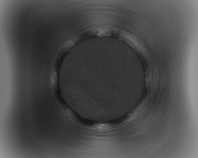 X0000099940748200805301217