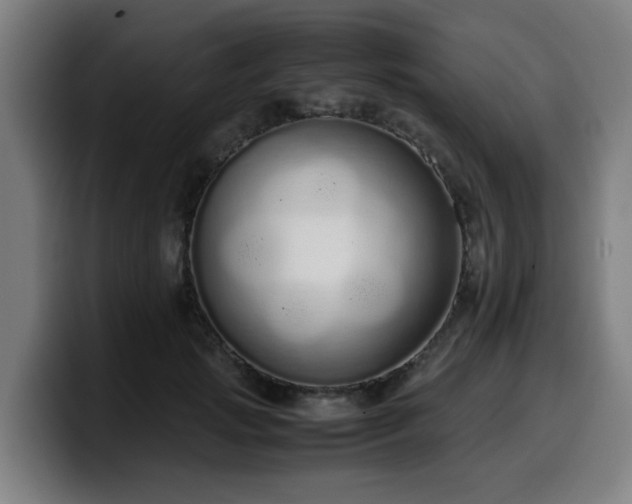 X0000099940749200805301217