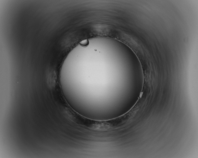 X0000099940752200805301217