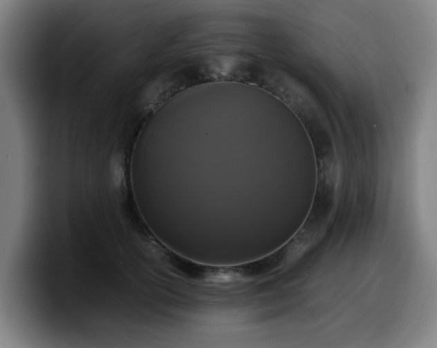 X0000099940754200805301217