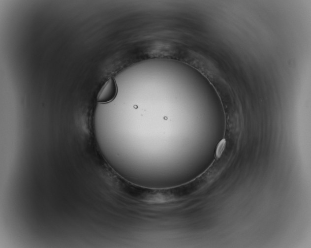 X0000099940755200805301217