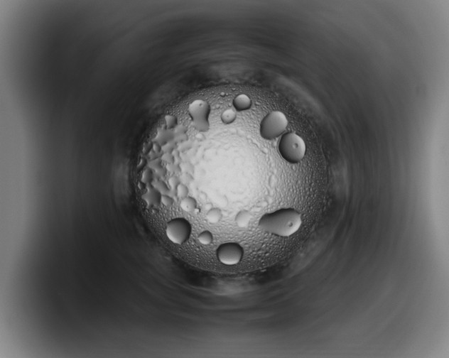 X0000099940757200805301217
