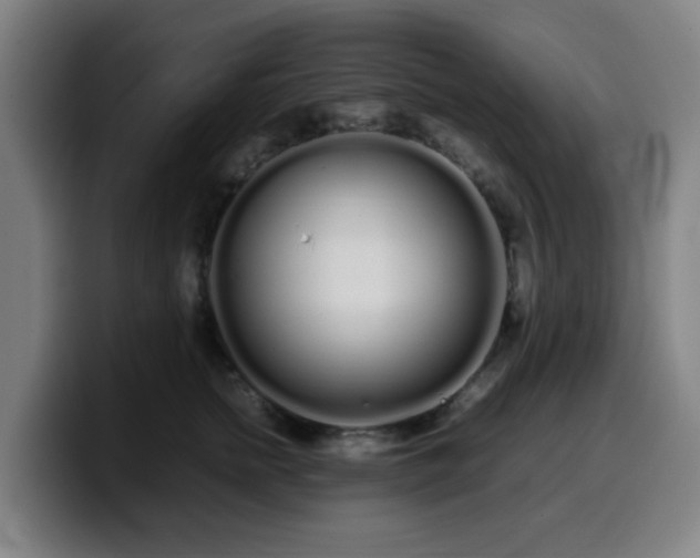 X0000099940758200805301217