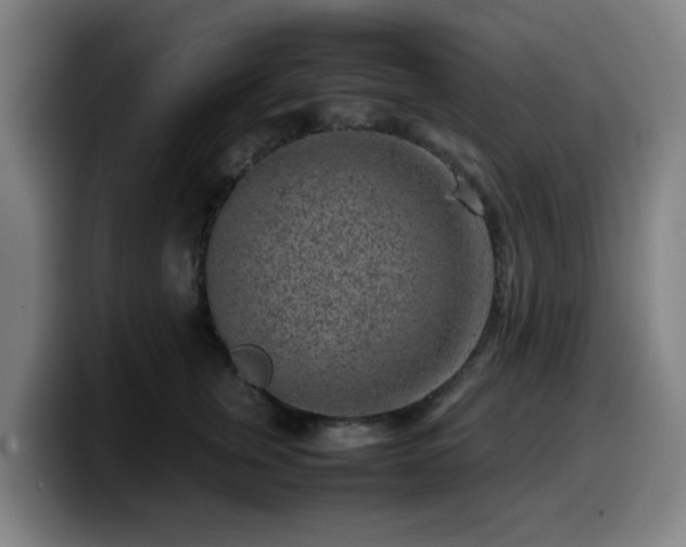 X0000099940759200805301217