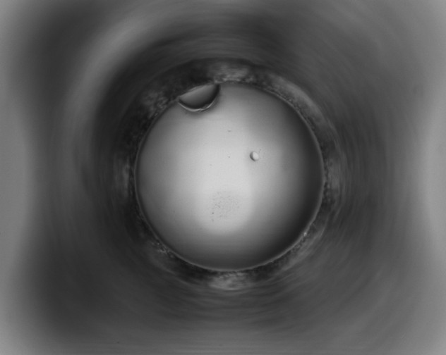 X0000099940761200805301217