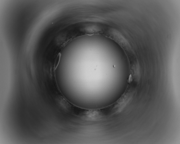 X0000099940762200805301217