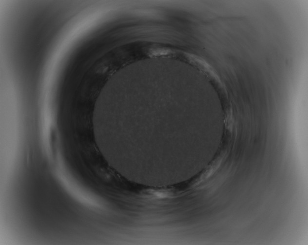 X0000099940763200805301217