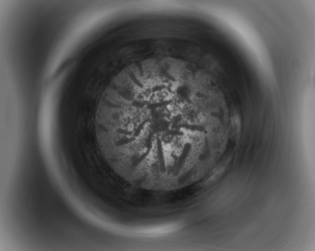 X0000099940765200805301217