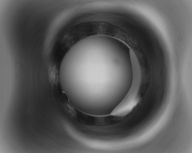 X0000099940766200805301217
