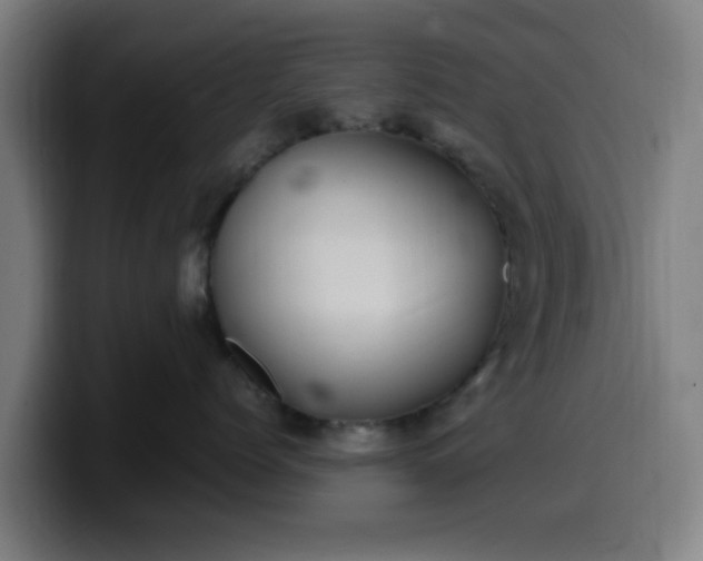 X0000099940768200805301217