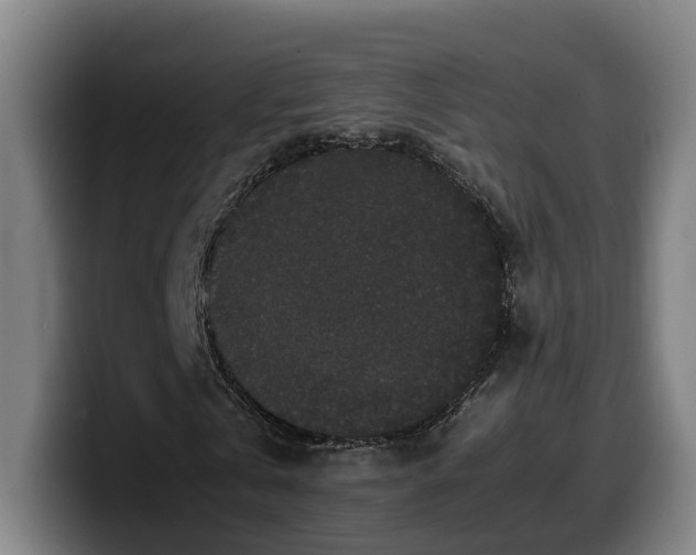 X0000099940769200805301216