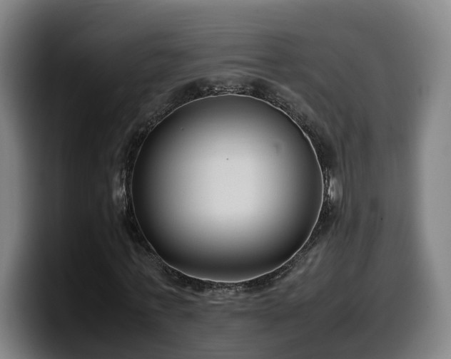 X0000099940771200805301216