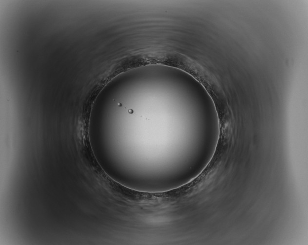 X0000099940772200805301216