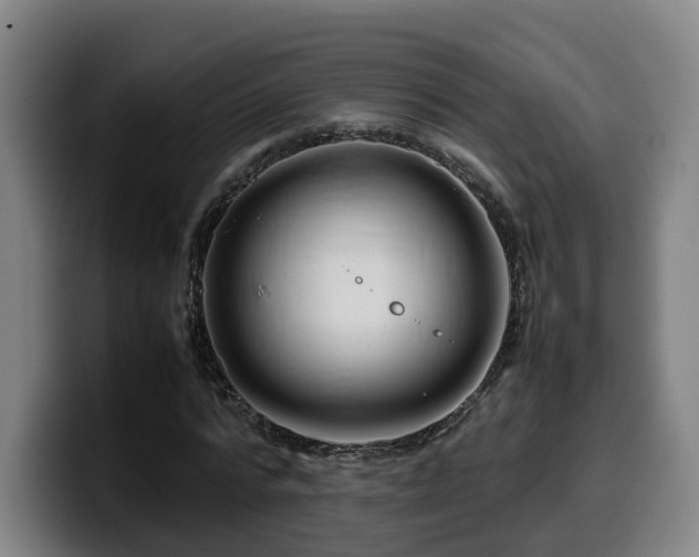 X0000099940776200805301216