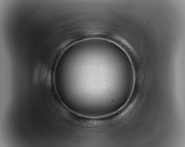 X0000099940777200805301216
