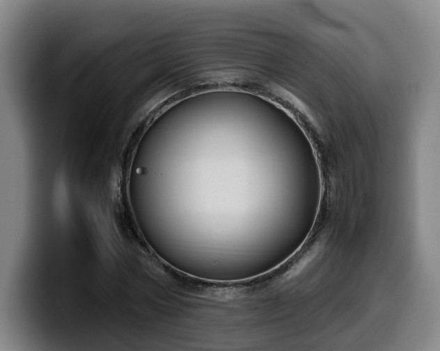 X0000099940778200805301216