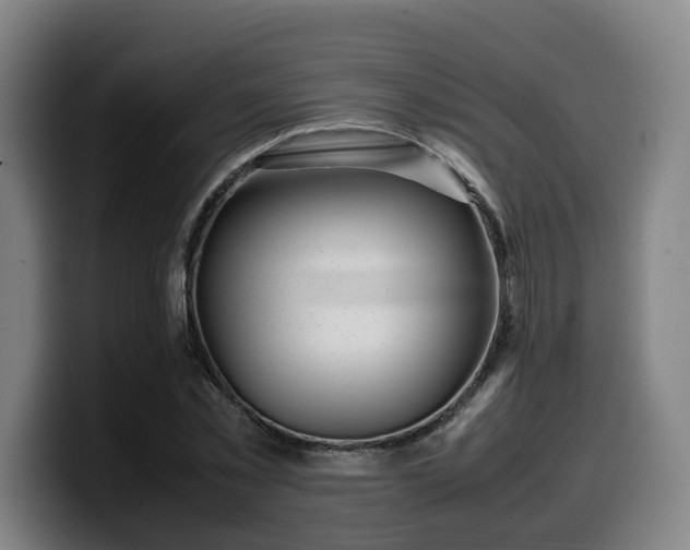 X0000099940781200805301216