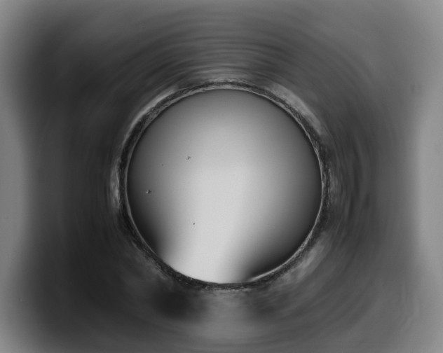 X0000099940782200805301216