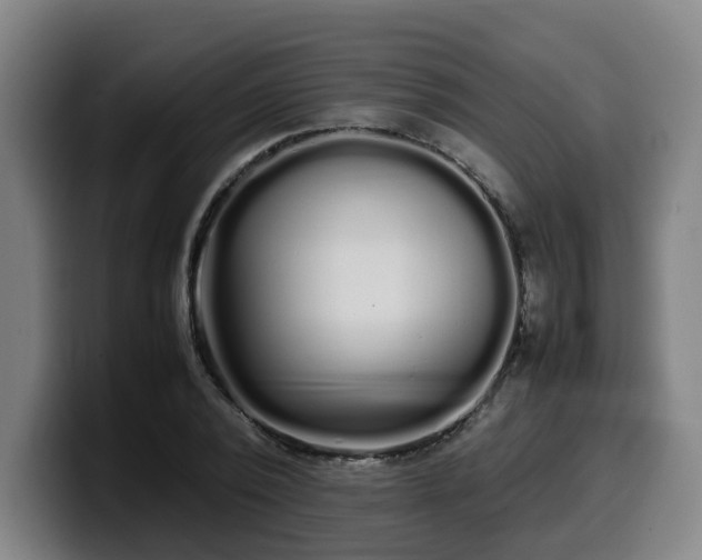 X0000099940784200805301216