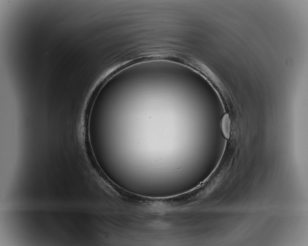 X0000099940787200805301216