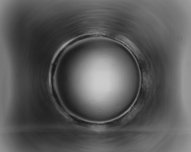 X0000099940788200805301216