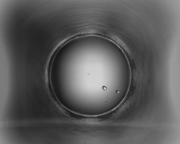 X0000099940789200805301216