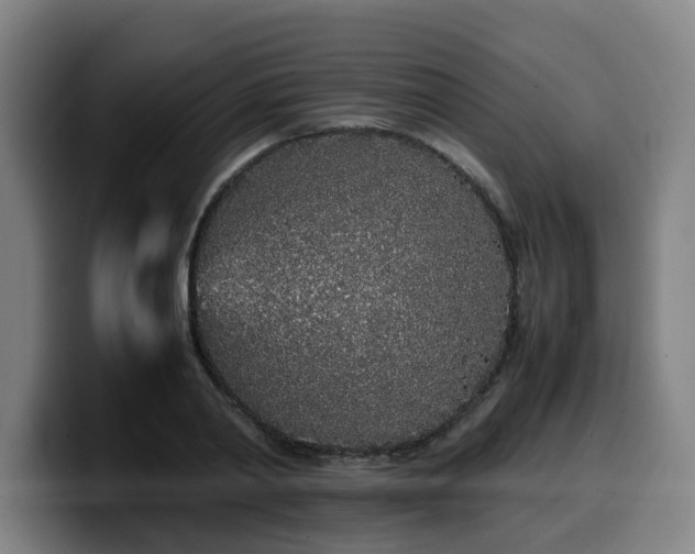 X0000099940790200805301216