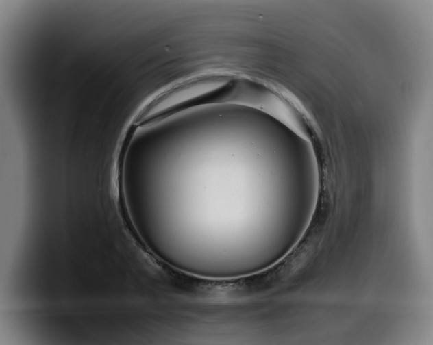 X0000099940791200805301216