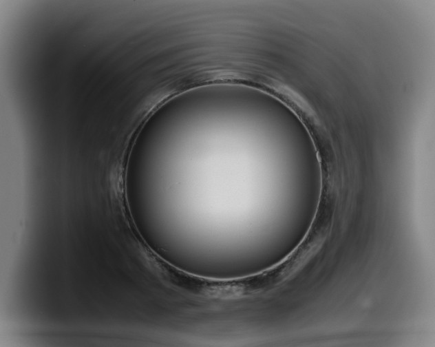 X0000099940793200805301216