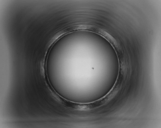 X0000099940794200805301216