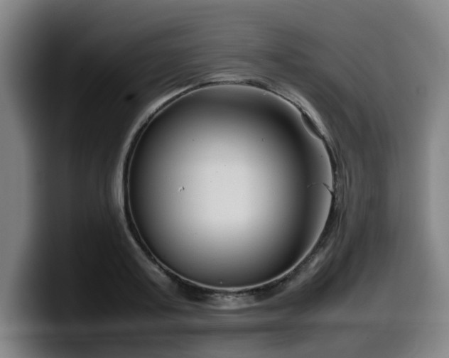 X0000099940795200805301216