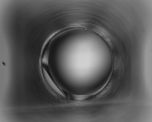 X0000099940796200805301216