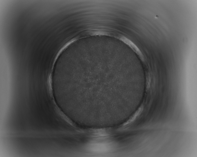 X0000099940798200805301216