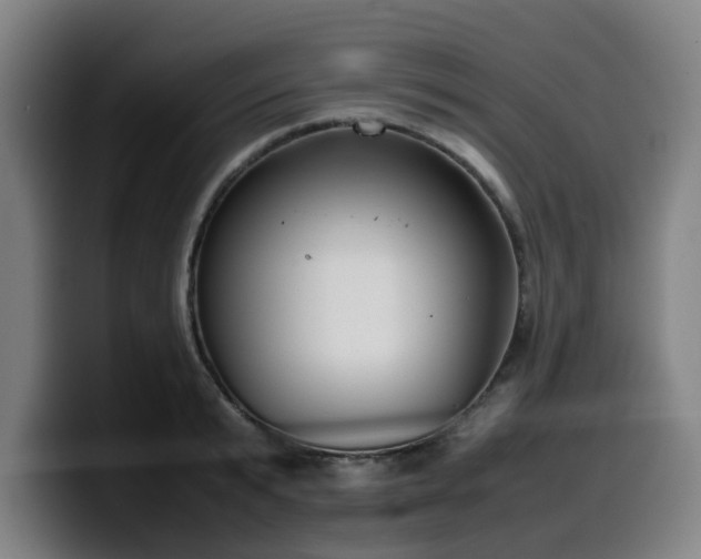 X0000099940799200805301216