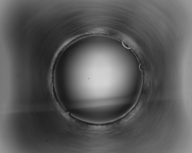 X0000099940800200805301216