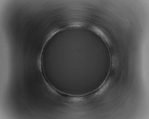 X0000099940802200805301216