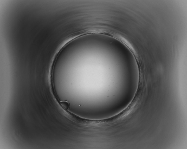 X0000099940803200805301216