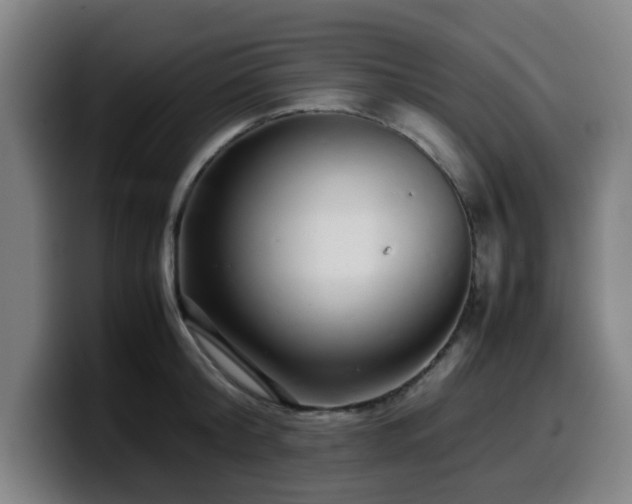 X0000099940804200805301216