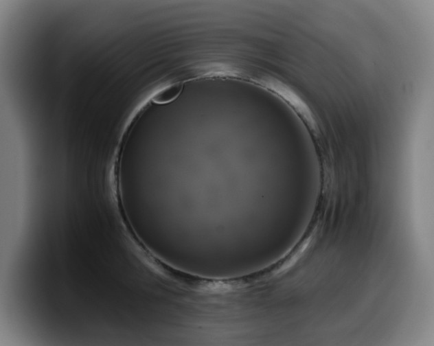 X0000099940806200805301216